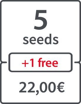5 (+ 1 FREE) - 22 €