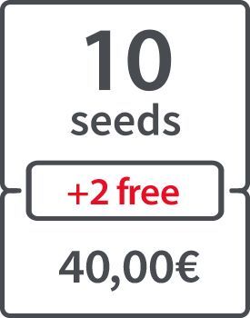 10 (+ 2 FREE) - 38.00 €