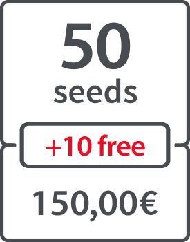 50 (+ 10 FREE) - 150.00 €