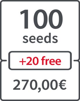 100 (+ 20 FREE) - 270.00 €