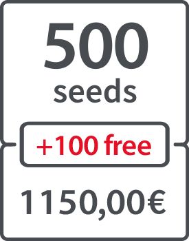 500 (+ 100 FREE) - 1150.00 €
