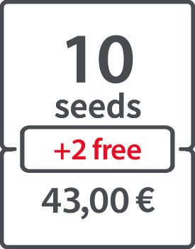 10 (+ 2 FREE) - 43 €