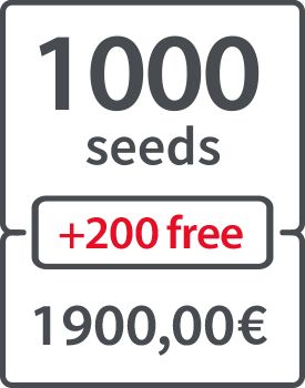 1000 (+ 200 FREE) - 1900.00 €