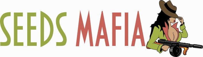 SeedsMafia.com