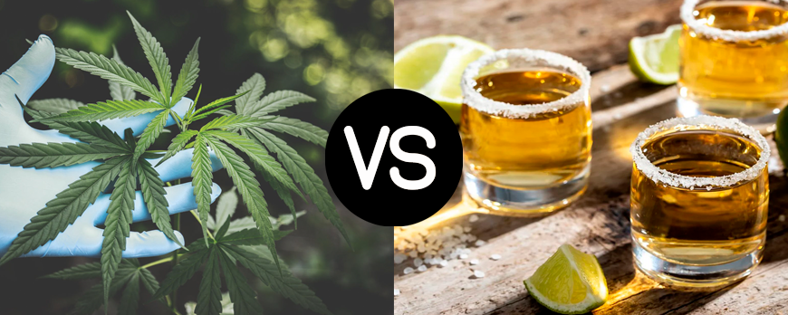 Can cannabis be a substitute for alcohol?