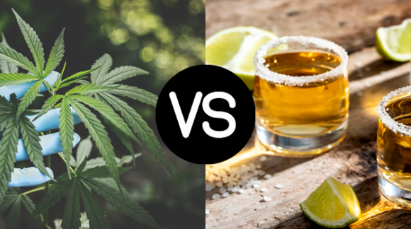 CAN CANNABIS BE A SUBSTITUTE FOR ALCOHOL?