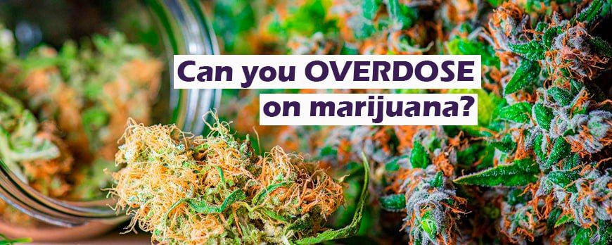 CAN YOU OVERDOSE ON WEED?