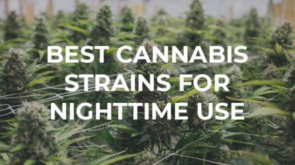 8 of The Best Cannabis Strains for Nighttime Use