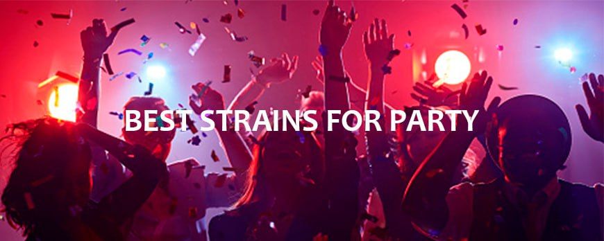 6 Best Strains for Party: Elevate Your Celebrations