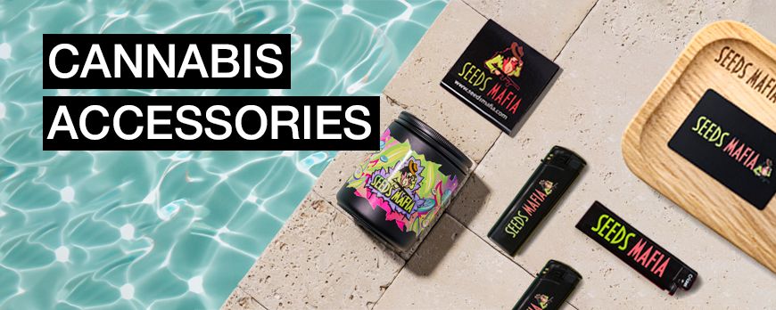 Elevate Your Smoking Experience with Cannabis Accessories by Seeds Mafia