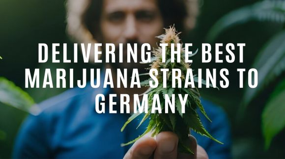 Доставка на най-добрите сортове марихуана в Германия