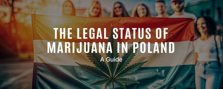 The Legal Status of Marijuana in Poland: A Guide