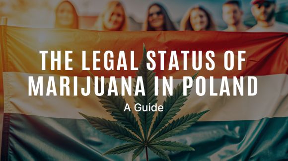 A marihuána jogi státusza Lengyelországban: Egy útmutató