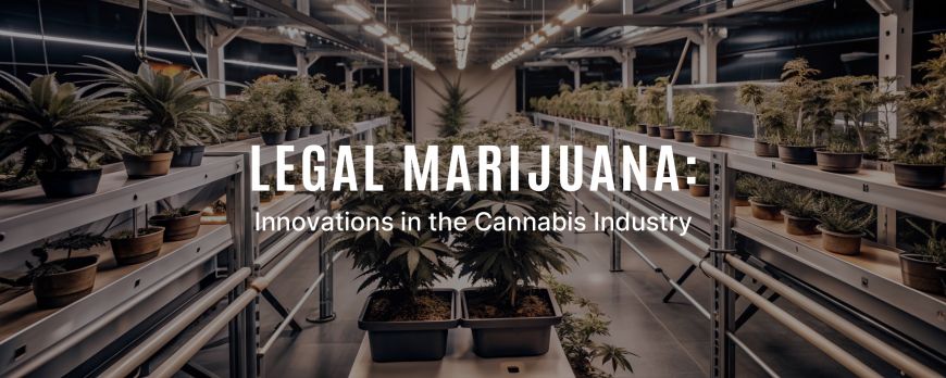 Легална марихуана: Иновации в индустрията на канабиса