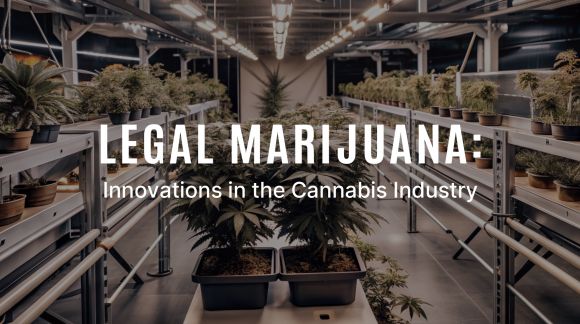 Marijuana legală: Inovații în Industria Canabisului