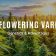 Autoflowering Varieties – Genetics & Advantages