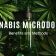 Cannabis Microdosing - Benefits and Methods