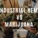 Industrijska konoplja vs Marihuana – Razlike