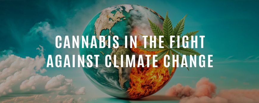 Cannabis in the Fight Against Climate Change