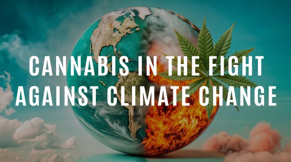 Cannabis in the Fight Against Climate Change