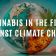 Cannabis in the Fight Against Climate Change