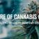 A kannabiszgenetika jövője: a magas THC-tartalmú fajtáktól a kiegyensúlyozott CBD-hibridekig
