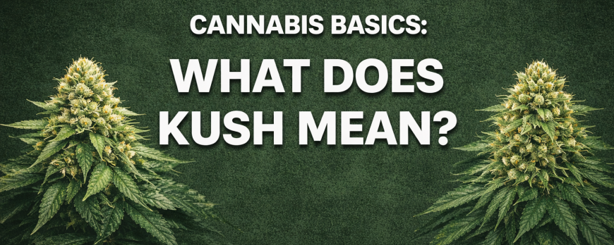 CANNABIS BASICS: WHAT DOES KUSH MEAN?