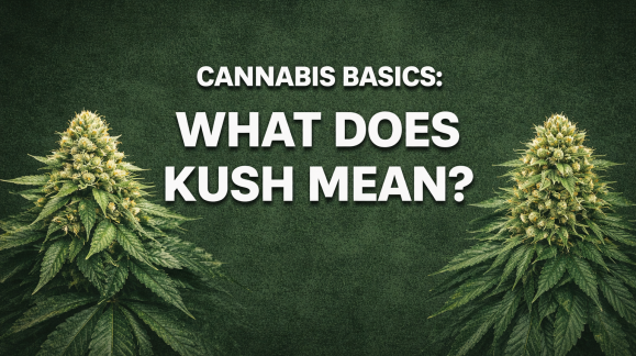 CANNABIS BASICS: WHAT DOES KUSH MEAN?