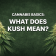 CANNABIS BASICS: WHAT DOES KUSH MEAN?