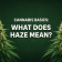 CANNABIS BASICS: WHAT DOES HAZE MEAN?