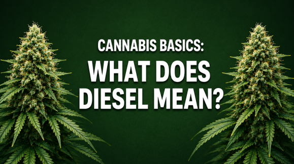 CANNABIS BASICS: WHAT DOES DIESEL MEAN?