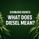 CANNABIS BASICS: WHAT DOES DIESEL MEAN?