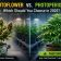 Autoflower vs. Photoperiod: Which Should You Choose in 2026?